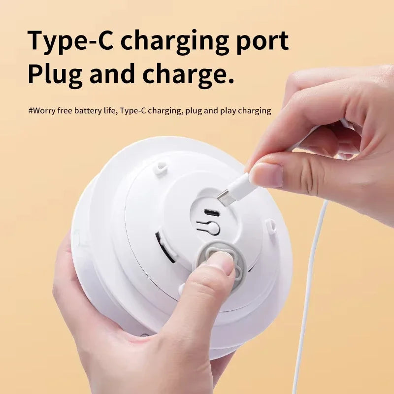 Interactive Hide and Seek Cat Toy with Mouse Squeaks